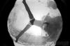 Filename=stoyawet1.jpg
Filesize=48KB
Dimensions=750x499
Date added=Dec 20, 2009 stoyawet1.jpg